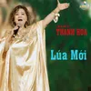About Lúa Mới Song