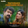 About Paathiraavu Pookkunnu Melle Song