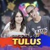 About TULUS Song