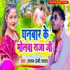 About Dhanwar Ke Molwa Raja Ji Song