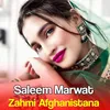 About Zakhmi Afghanistana Song
