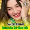 About Meena Da Zor Hbra Nda Song