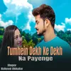 About Tumhein Dekh Ke Dekh Na Payenge Song