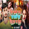 About Dil Sabke Pas Ba Baki Sab Dildar Na Hola Song