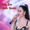 About Tình Em Anh Quên Song