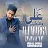 About Ali Warga Zamanay Tay Song