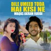 About Dile Umeed Toda Hai Kisi Ne Song
