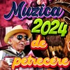 Muzica Ardeleneasca 2024 de Petrecere