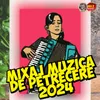 Mixaj Muzica de petrecere 2024