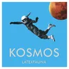 About Kosmos Song