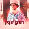 About Seu Toque Gentil Song