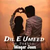About Dil E Umeed In Pashto Song