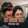 About Teri Umeed Tera Intezaar Jab Song