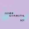 2023流行经典热榜串烧DJ