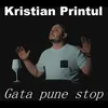 About Gata pune stop Song