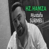 About HZ. HAMZA Song