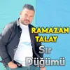 About Sır Düğümü Song