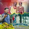 About Kamlo Pyari Song