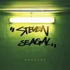 About Steven Seagal Song