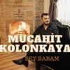 About Bey Babam Song