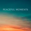 About Peaceful Moments Song