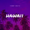 About Hawaii Song