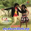 About Dj Song Vata Vata Jari Vagaladi Chory Song