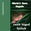 About Csak Téged Látlak Song