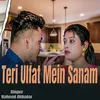About Teri Ulfat Mein Sanam Song
