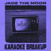 About Karaoke Breakup Song
