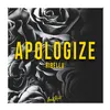 About Apologize Song