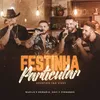 About Festinha Particular Song