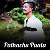 About Pathachu Paala Song