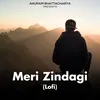 Meri Zindagi