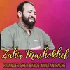 About Pa Ander Sher Bande Multan Raghe Song