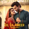 About Dil Da Ameer Song