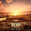 About שבחי Song