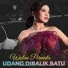 About Udang Dibalik Batu Song