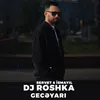 About Gecəyarı Song
