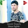 About Divanə Deyirlər Song