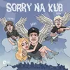 About Sorry Na Kub Song