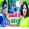 About Jawani Hai Jhahar Song
