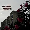 Нервы. Осень