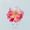 About 芈月 Song