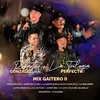 About Mix Gaitero 2 : Cinco Negros / Grito de Gloria / La Gaita Buena Nunca Envejece / La Molienda / La Felicidad Me Llego De Paso / La Pintura / La Gaita Vieja del Saladillo / Ancestros / La Elegida Song