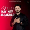 About Hay Hay Ali Akbar Song