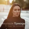 About Я піду за сонцем Song