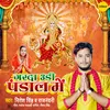 About Garda Udi Pandal Mein Song