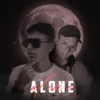 About Alone Song