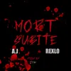 About Mort Subite Song